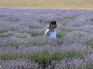 AvroraFlower