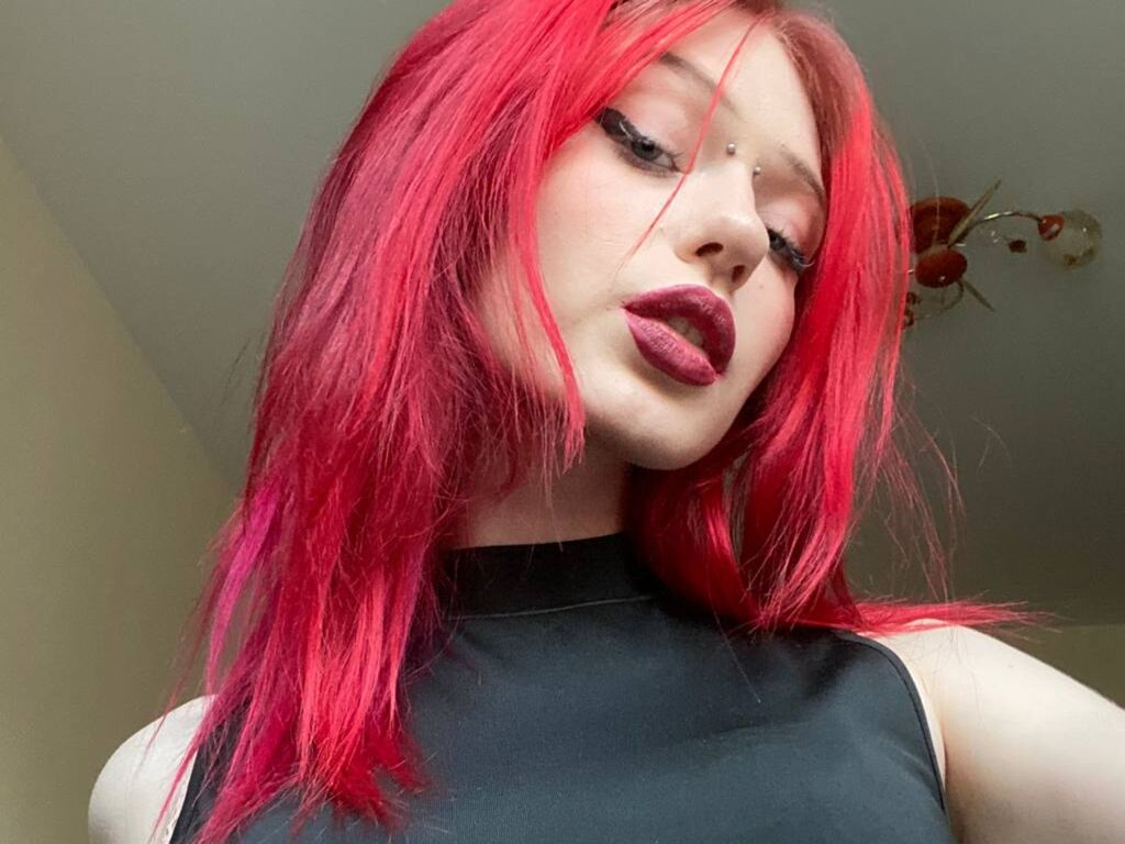 MollyCodle
